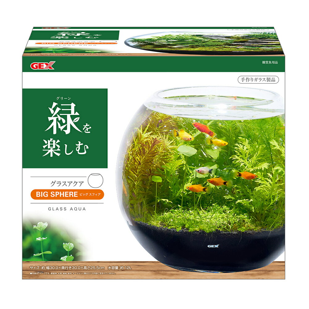 GEX　グラスアクアビッグ　スフィア　30×30×25．5cm　関東当日便