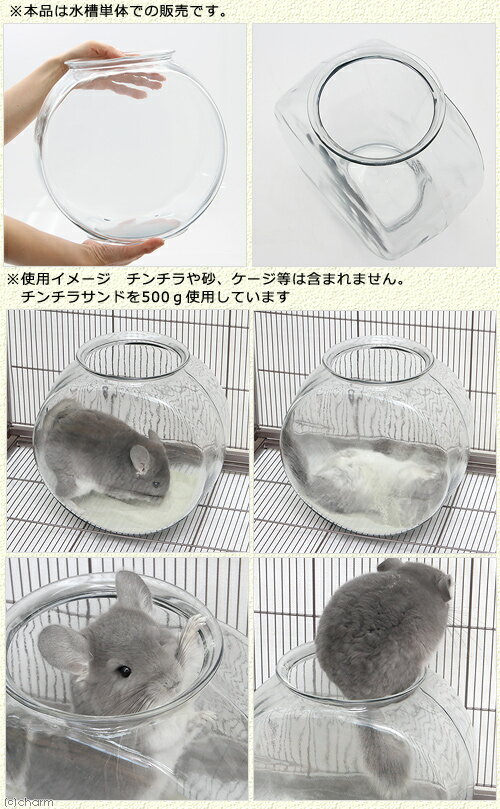 デグーの砂浴び疑問解決 ボトル何使ってる 砂は常設していいの Degubase