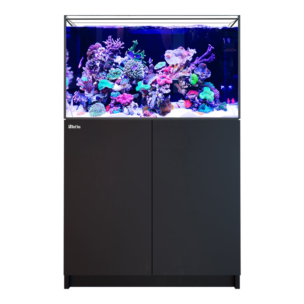 （超大型）取寄せ商品　レッドシー　REEFER　300　G3　ブラック　本州四国送料無料・同梱不可・代引不可　500サイズ　2個口