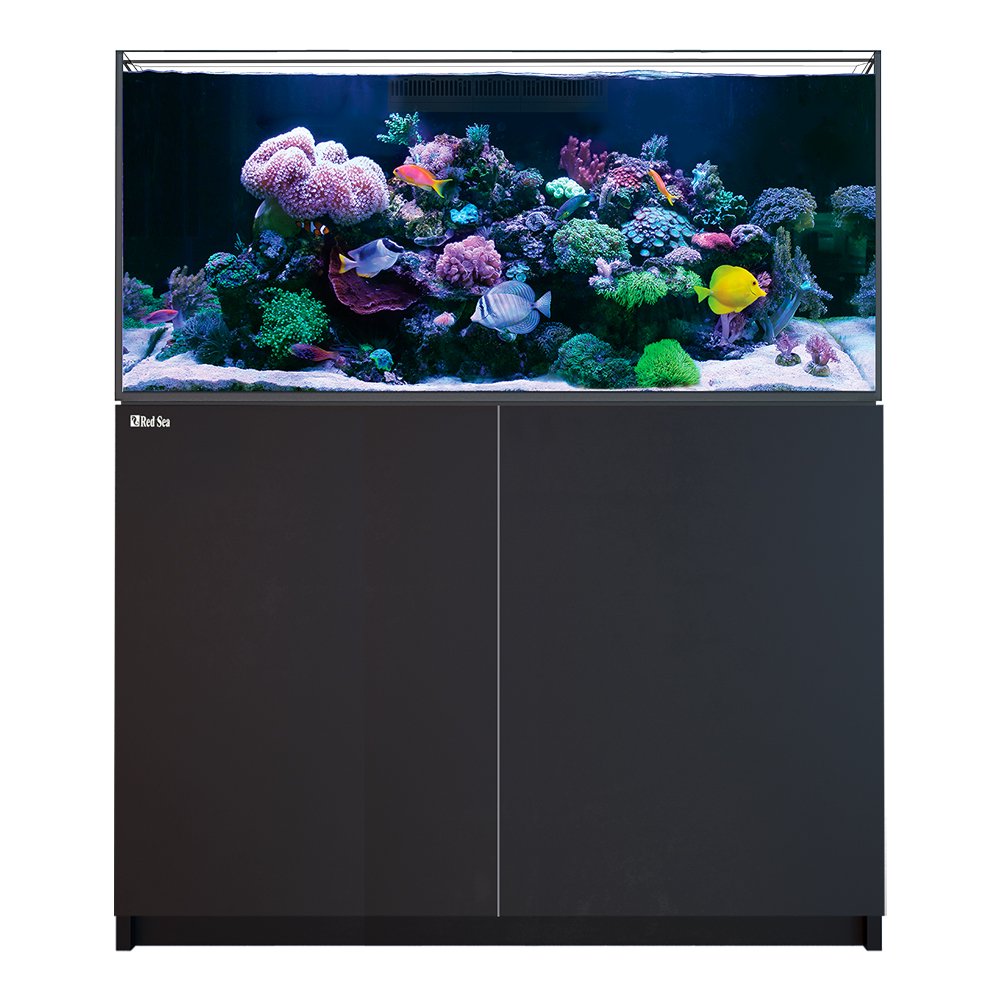 （超大型）取寄せ商品　レッドシー　REEFER　350　G3　ブラック　本州四国送料無料・同梱不可・代引不可　600サイズ　3個口