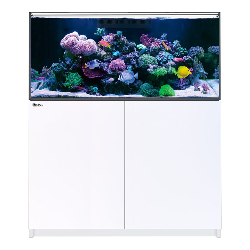 （超大型）取寄せ商品　レッドシー　REEFER　350　G3　ホワイト　本州四国送料無料・同梱不可・代引不可　600サイズ　3個口