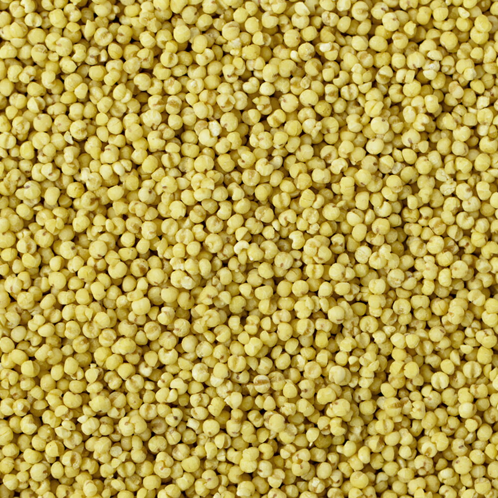 黒瀬ペットフード　シード食専用サプリメント　食べるビタミン　SS−10　240g　関東当日便 chanet-11188293 charm 楽天市場店 サンプル画像2