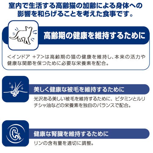 サンプル画像3