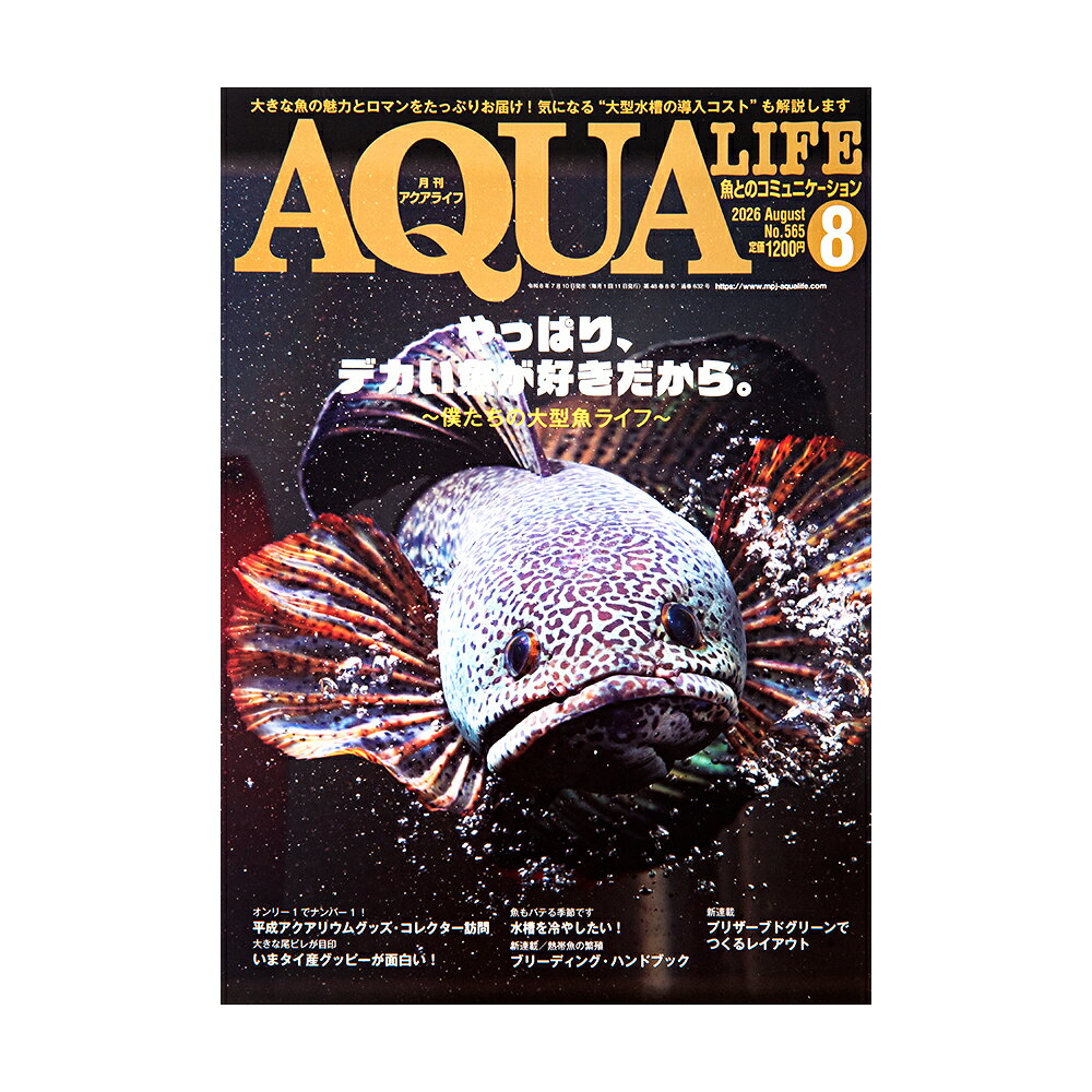 アクアライフ　8月号（2026）　関東当日便