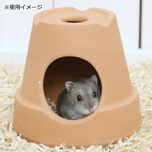 ��ưʪ�Υƥ饳�å��ϥ�����SS��ľ��11cm���⤵10cm������������