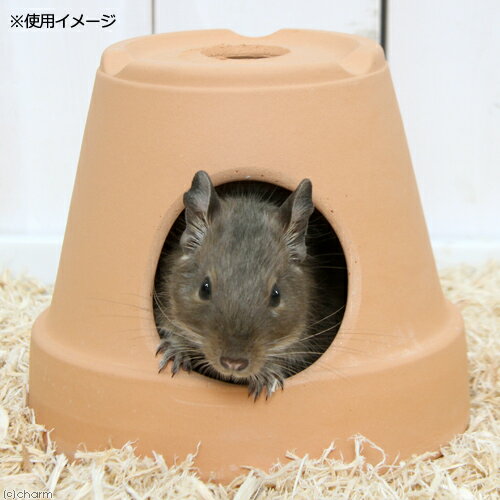 ��ưʪ�Υƥ饳�å��ϥ�����M��ľ��14cm���⤵13cm������������