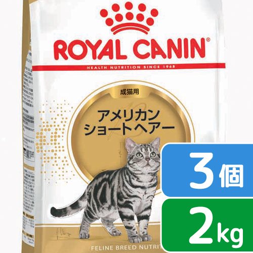 ロイヤルカナン猫アメリカンショート...