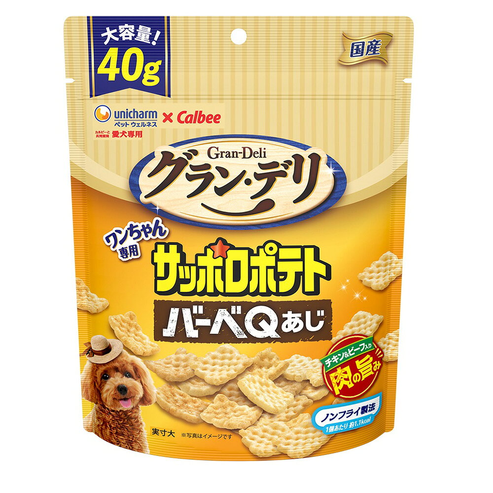 グラン・デリ　ワンちゃん専用　サッポロポテト　バーベQあじ　40g　関東当日便
