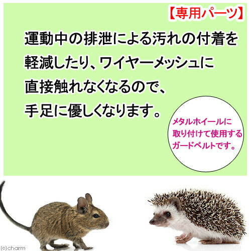 �������񡡥᥿�륵������25���ѡ��ۥ�����٥��25������������