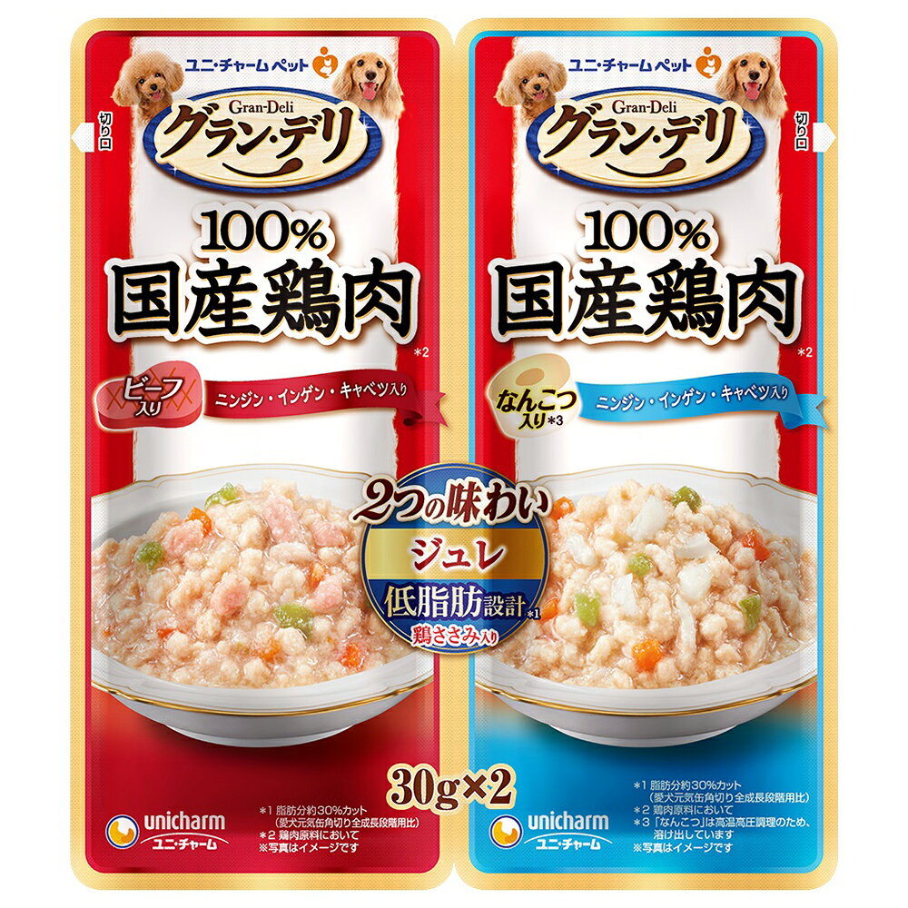 Gin No Sara - グラン・デリ　2つの味わいパウチ　ジュレ　成犬用　ビーフ＆なんこつ　30g×2　6袋入り　関東当日便