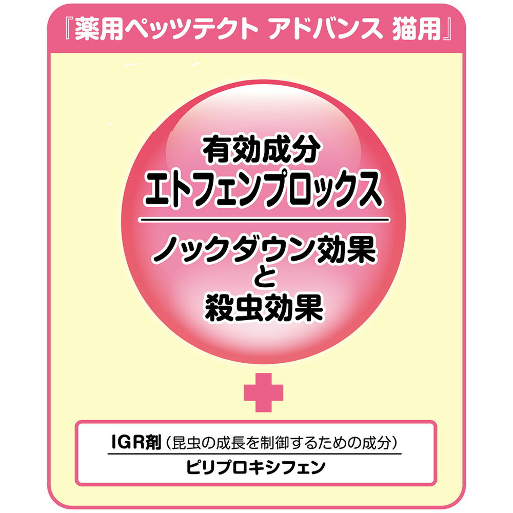 �ɥ����ޥ����ѥڥåĥƥ��ȡ����ɥХ󥹡�ǭ�ѡ�1����������������