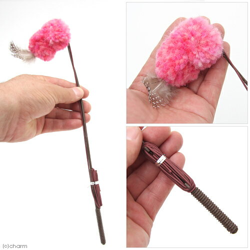 ��2��5�����������Ψ2ʬ��1��1������100��ǭ����餷������ƥ����ޥ󡡤����ǭ���ˤ㥦���롡���ݥ�