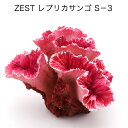 ゼンスイ　ZEST　レプリカサンゴ　S－3【HLS_DU】　関東当日便 その1