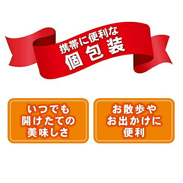 �ڥƥ������ܻݡ��ߥˡ������ߥ�����������10����������������