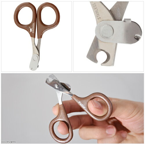 �ڥƥ�����necoco�������֤Ĥ��ڤꡡ���ȥåѡ��ա�����������