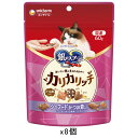銀のスプーン おいしい顔が見られるおやつ カリカリシーフード かつお節入り 60g×8袋 関東当日便