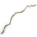 天然素材 吊り下げ式 モダマ S90H (長さ900mm 直径15〜25mm程度) スパイラルパーチ 関東当日便