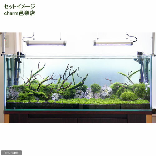 �ʿ���ˡ������ѡ������������⥹�������С�M����������14cm�ˡʿ����աˡ�̵�����ˡ�1�ġ�