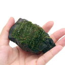 (水草)巻きたて 南米ウィローモス 風山石 SSサイズ(8cm以下)(水中葉)(無農薬)(1個)