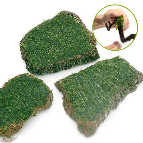 （水草）巻きたて　ジャイアント南米ウィローモス　スライス溶岩石　Sサイズ（水中葉）（無農薬）（3個）