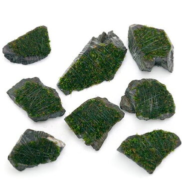 （水草）巻きたて　南米ウィローモス　風山石　ミニサイズ（約5cm）（無農薬）（3個）