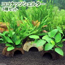 （水草）ココナッツシェルター　3種セット（水上葉）（1セット）