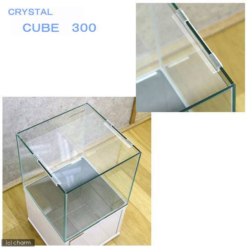 ��Ǯ�ӵ��ˡʿ���˥��ꥹ���륭�塼�֡�300��30��30��30cm�ˡܽ��Ƥο���3��������ա��ܽ��͹����