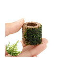 (水草)巻きたて ライフマルチ(茶)クリスマスモス(無農薬)(1個)