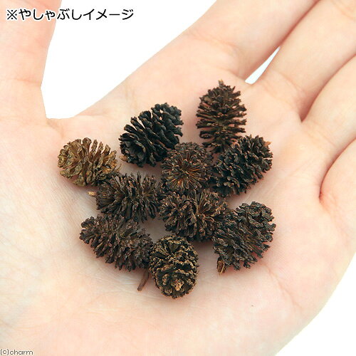 （水草）巻きたて　モスsp．国産　ヤシャブシボール（無農薬）（1個）