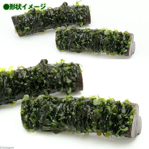 （水草）巻きたて　モスファン付　カット流木　ミニサイズ（8cm以下）（無農薬）（...