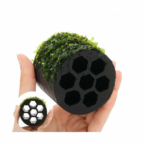 （水草）巻きたて　ブラックハニカムシェルター　モスファン（無農薬）（1個）