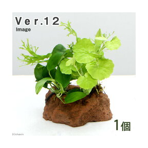 （水草）Plants　Arrangement　ザ　ボンサイ　Ver．12（1個）