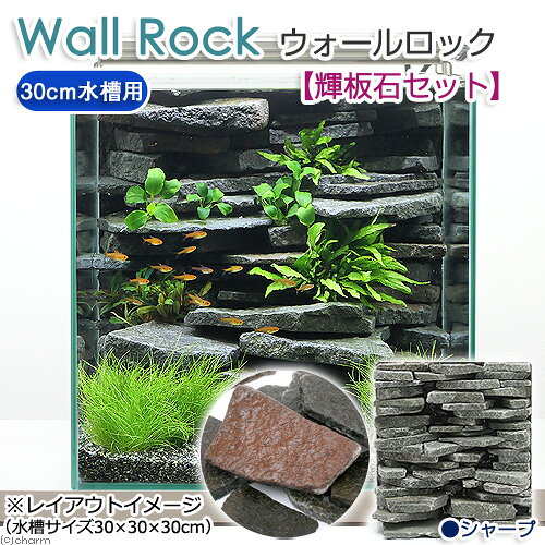 ウォールロック　シャープ　30cm水槽用＋輝板石セット