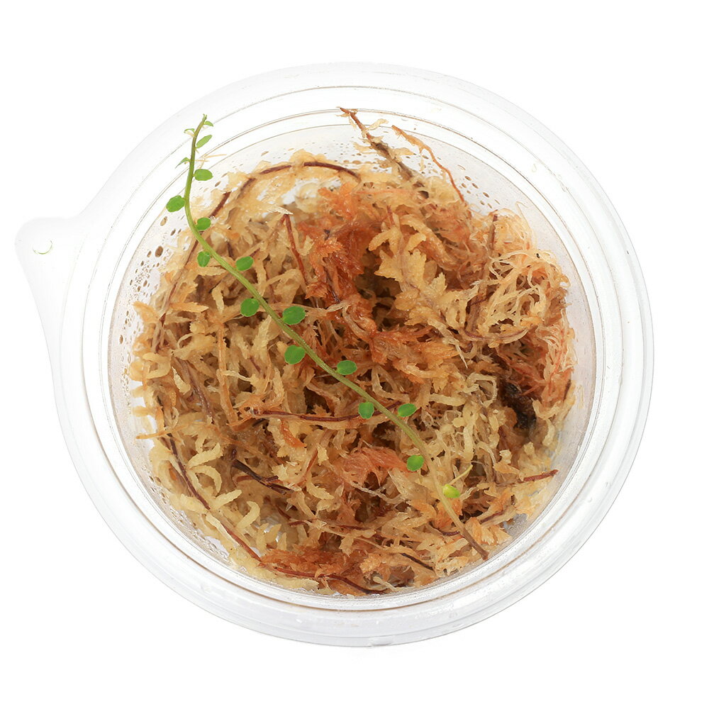 �ʥƥ�ꥦ��˥ޥ륯����ӥ�sp�����⡼��饦��ɡ�1���åסˡ��̳�ƻ���彣�Ҷ������ݲ�