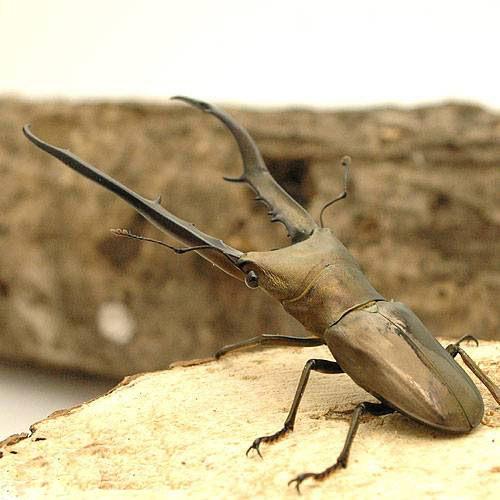 �ʺ���˥᥿��ե���ۥ��������塞�������饦�������ѥ�������WC��70��74mm��1�ڥ��ˡ��̳�ƻ���彣�Ҷ������ݲ�