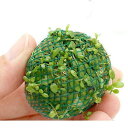 ※こちらの商品は巻きたての商品となります。植え込みの手間を省けるようにボール状にした物です。ソイル等にねじ込むようにお使いいただくと、自然にランナーを出すので始めての方でも簡単にお使いいただけます。■前景草の定番種です！■育成済　グロッソスティグマボール（水上葉）　3個販売名グロッソスティグマ別名グロッソ学名（※）Glossostigma　elatinoides（※）…改良品種や学名が不明の種は流通名での記載の場合があります。分類 ゴマノハグサ科（Scrophulariaceae）分布オーストラリアどんな種類？地を這う明るい緑の丸葉で底床を埋め尽くす、前景草の定番中の定番です。地面をびっしりと覆うように成長する為、同じ前景草でもテネルスやヘアーグラスの様に高さが出ず、広々とした空間を演出することができる種類です。緑の絨毯を作るには高光量とCO2の添加が必須です。また一旦生長をはじめるとそのスピードが非常に早い為、ソイル系の底床を使用し、葉の様子を見ながら、液体肥料と固形の追加肥料を併用するのがお勧めです。肥料分が不足すると葉の色が抜けて黄色っぽい色合いとなります。光量の要求量が高めで、他の草の陰になる様な場所では伸び上がる事があると言うことは広く知られていますが、盲点になりやすいのが消灯時の明るさ。昼夜逆転管理を行っている等、消灯時でも薄明るい環境だと伸び上がってしまうことが有りますので注意が必要です。CO2添加量は多めにと言われることが多いですが、こちらも成長の早さが主な要因です。他の要素が不足している時に、CO2のみを過添加すると育成に障害が出ることがあります。光量、肥料、CO2のバランスを整えさえすれば育成自体は簡単です。水質や水温が多少変動しても成長が止まったりすることも無く、レイアウトに併せてランナーや葉を大きく刈り込んでしまっても問題ありません。逆に 適した環境下では、非常に生命力旺盛で他の草が植えられている区間にもどんどん進出し、高さの低い石や流木であればランナーで乗り越えてしまうこともあります。グロッソを生やしたくない区画がある場合は定期的にランナーをカットしましょう。植え込みの際ですが、ポットをばらすと分かりますが、グロッソスティグマはランナーに一定間隔で葉がついた構造となっています。ランナーを1本3〜4cmにカットし、一番先の葉だけが出るように底床に浅い角度で植え込みます。間隔は4〜5cmに1枚葉が出る程度がお勧めです。状態良く長期間維持していると部分的に2重3重に葉が重なっている部分が発生します。こうなった場合、光が当たらない部分が枯れ、コケの原因となることもあります。厚みを増した部分は、先の細いハサミでランナーを適度にカットしながら間引き、光が当たらない部分を減らしましょう。グロッソスティグマに適した環境に設定した場合、成長の遅い草はコケが付きやすくなります。また古くなった葉にもコケが付きやすくなるのでコケ取りにはオトシンネグロやヤマトヌマエビ等の能力の高い生体がお勧めです。水上⇔水中の移行が早く、夏の間は屋外でビオトープとして楽しむことができる種類です。花は非常に小さく目立たない為、葉姿を楽しむ草と言えます。育成要件＆データ育成難易度　→　★★★☆☆光量　　　　　→　60cm20W3灯以上（2400〜3000lm）CO2　　　　 →　1滴／3秒（60cm標準水槽相当）pH　　　　　　→　5〜7pHGH　　　　 　 →　0〜6kH　　　　　　→　0〜6温度　　　　　→　20〜28度底砂　　　　　→　ソイル、砂植栽位置　　→　前■□□□□後草姿　　　　　→　有茎草最大草姿　　→　横1cm　高さ1cm生長速度　　→　速い増殖方法　　→　ランナー※…育成環境は一例です。必ずしもこの環境下であれば育つことを確約するものではございません。注意※3cm程度の丸石にグロッソスティグマを巻きつけた商品になります。※裏側にネットを止めてある金具がありますので、底床に埋め込んでご使用下さい。※面倒な植え込みの手間が省けるので、手軽に楽しむことが出来ます。PSBQ10　ピーエスビーキュート　淡水用　30mL5個セット　光合成細菌　バクテリア　熱帯魚（生餌）淡水用　微生物で水質向上セット　エサ用ゾウリムシミックス＋PSBQ10　本州四国限定お一人様3点限り　魚が簡単に飼える　リーフプロソイル　pHダウン　8L　pH4．5〜5．5　吸着ソイル　国産　熱帯魚　用品日本動物薬品　ニチドウ　水草が育つCO2リキッド　2本入　（緑）水草＆サンゴの成長を促進！　Q10サポートエレメンツ　淡水・海水用　30mL3袋セット水草＆サンゴの成長を促進！　Q10サポートエレメンツ　淡水・海水用　500mL　微量元素添加剤　ミネラルアクロ　化学反応式CO2ジェネレーターセット　クエン酸重曹付属　水草育成 … 熱帯魚　_aqua　ライフマルチ各種　rakunetsu2008　水草　前景草　横に広がる　all_plants　水上葉_前景草　グロッソはこちら　wp_kywrd　お勧め前景草　グロッソ　SM　20131204　LMグロッソ1204　1wptop200415（水草）巻きたて　グロッソスティグマボール（水上葉）（無農薬）（1個）構成する商品内容は在庫状況により予告無く変更になる場合がございます。予めご了承下さい。■この商品をお買い上げのお客様は、下記商品もお買い上げです。※この商品には付属しません。■PSBQ10　ピーエスビーキュート　淡水用　30mL5個セット　光合成細菌　バクテリア　熱帯魚（生餌）淡水用　微生物で水質向上セット　エサ用ゾウリムシミックス＋PSBQ10　本州四国限定お一人様3点限り　魚が簡単に飼える　リーフプロソイル　pHダウン　8L　pH4．5〜5．5　吸着ソイル　国産　熱帯魚　用品日本動物薬品　ニチドウ　水草が育つCO2リキッド　2本入　（緑）水草＆サンゴの成長を促進！　Q10サポートエレメンツ　淡水・海水用　30mL3袋セット水草＆サンゴの成長を促進！　Q10サポートエレメンツ　淡水・海水用　500mL　微量元素添加剤　ミネラルアクロ　化学反応式CO2ジェネレーターセット　クエン酸重曹付属　水草育成