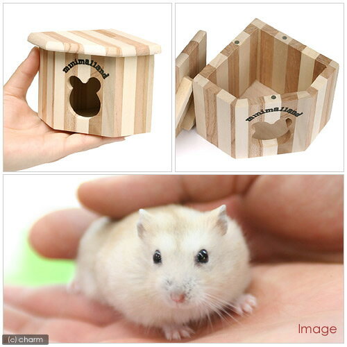 �ޥ륫�󡡥��å����ϥ����������ʡ����ϥॹ�������ϥ���������������������