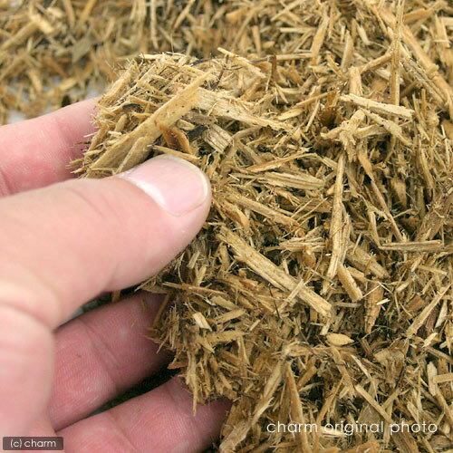 ZOOMED FOREST FLOOR フォレストフロア 8qt(8.8L) 爬虫類 底床 敷砂(陸棲用)の画像2枚目