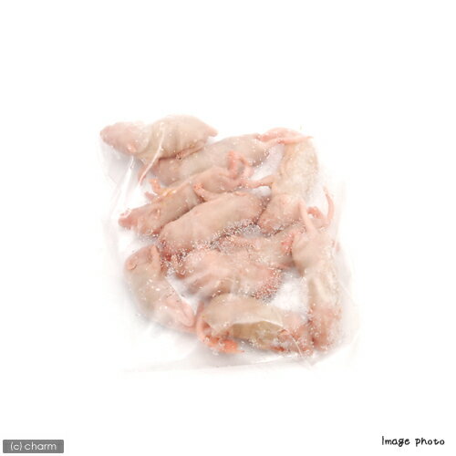 冷凍★富城 ピンクマウスL（10匹）（約4cm）冷凍マウス 別途クール手数料