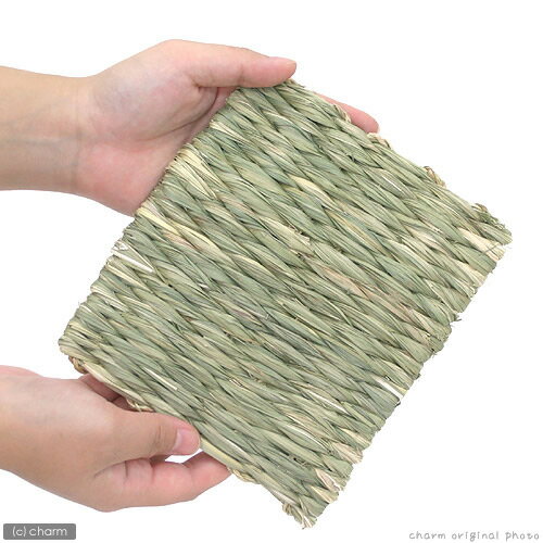 ��桡�������κ¤֤Ȥ�S��2����������������