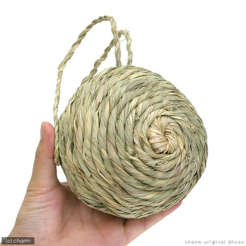 ��桡�����ܡ��롡����������