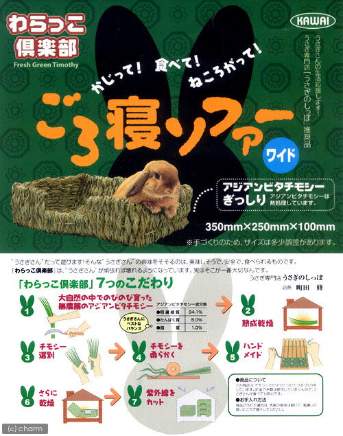 ��桡���������ե������磻�ɡ����������٥åɡ��ޥåȡ�����������