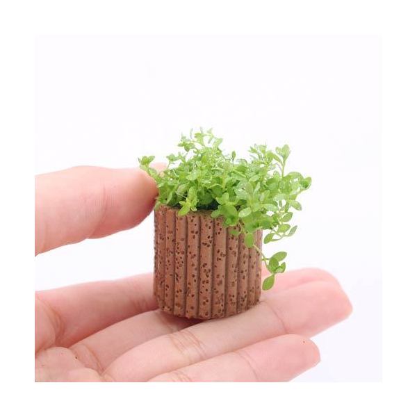 （水草）ライフマルチ（茶）南米産ミズハコベ（水上葉）（1個）