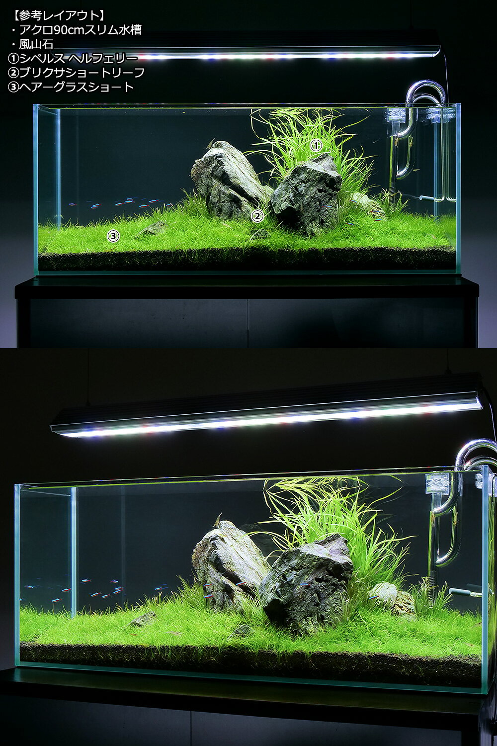 �ʿ��������2�糧�åȡ��إ������饹�����硼�ȡ�1«ʬ�ˡܥ֥ꥯ�����硼�ȡ�2��ʬ��