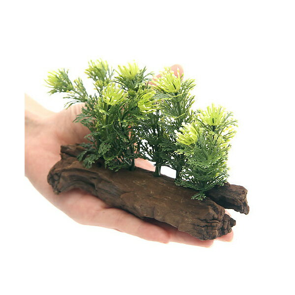 アーティフィシャルプランツ（人工水草）流木付 Cypress（1個） | RIUM