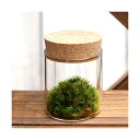 （観葉植物）苔Terrarium　ヤマゴケ　コルクボトル　ミニ　説明書付　コケテラリウム　苔テラ　コケテラ　苔　インテリア【HLS_DU】