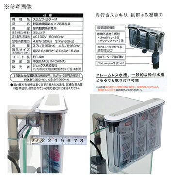 GEX　スリムフィルター　M　淡水・海水両用　水槽用外掛式フィルター　関東当日便