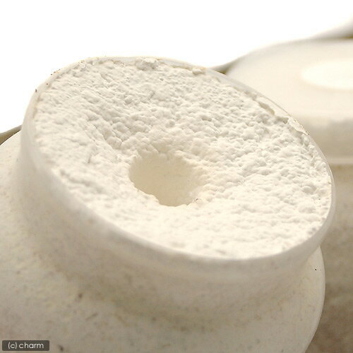 �ݻ�ӥ�XL��POT���ҥ饿����800cc��1��