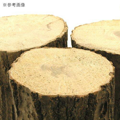 ���ʥ黺���ڡ����ܡ��ºࡡ1�ܡ�������塞���ѡ�����������