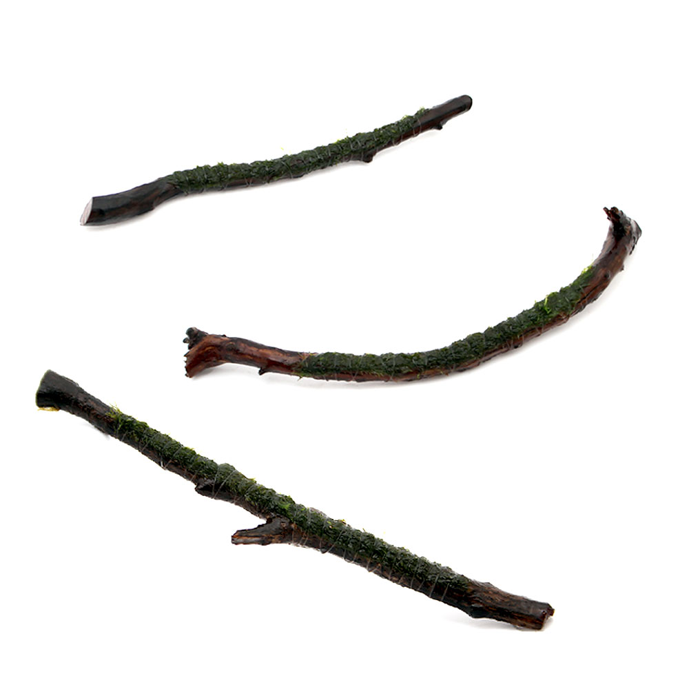 （水草）巻きたて　ウォーターフェザー　スティック流木　Sサイズ（約15cm）（水中...
